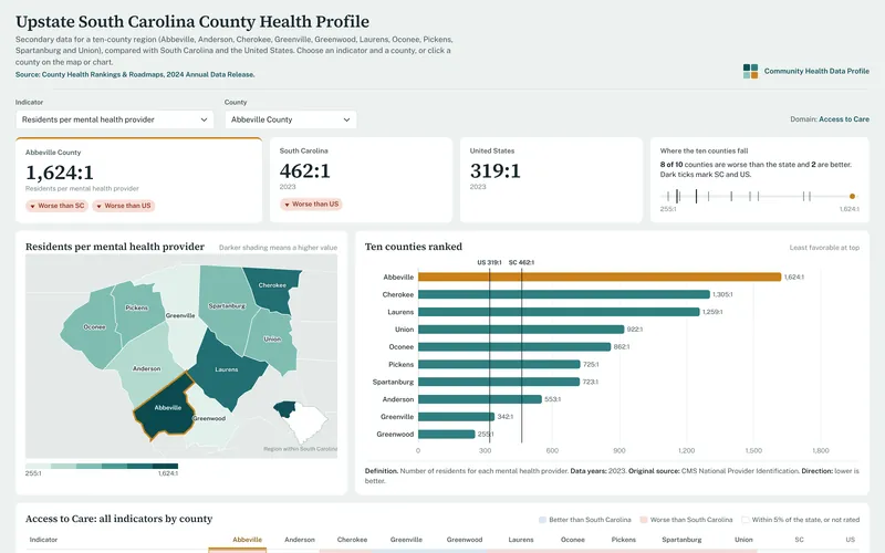County Health Profile: Upstate South Carolina: Dashboard mental health providers